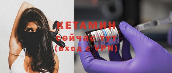стафф Ельня