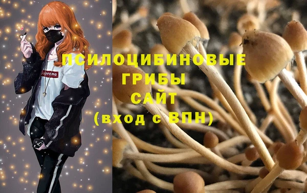 2c-b Елабуга