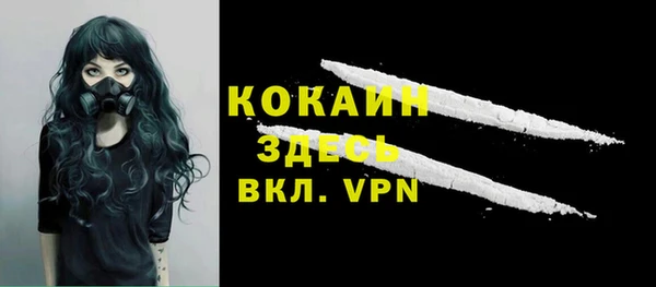 стафф Ельня