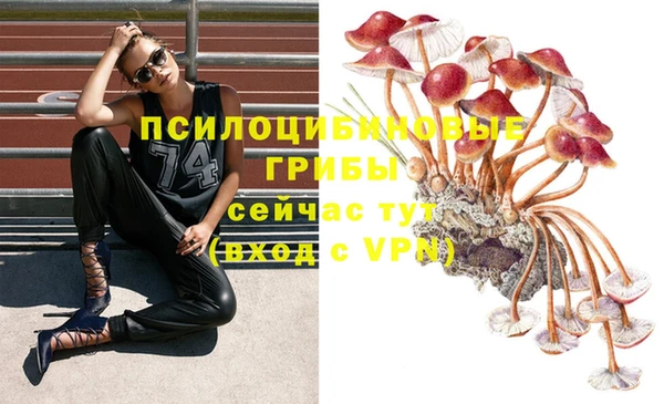 метадон Заволжск