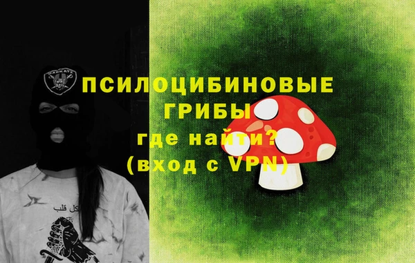 2c-b Елабуга