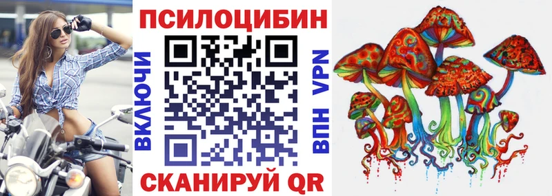 Купить где  Снежногорск  Псилоцибиновые грибы мицелий 